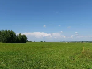 Коттеджный поселок "Переславские усадьбы"