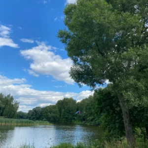 Поселок "Новое Салтыково"