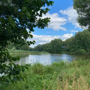 Поселок "Новое Салтыково"